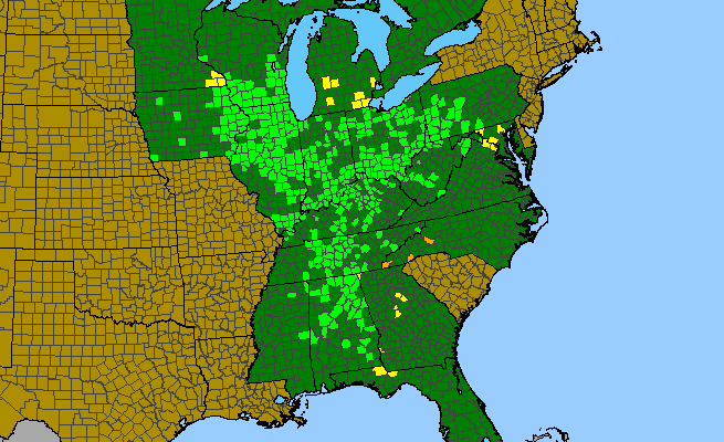 The range of Symphyotrichum shortii